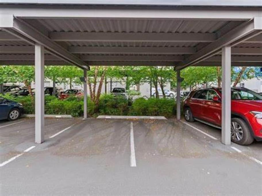 Masvacation La Rosaleda 3Room,Parking Playa del Inglés Zewnętrze zdjęcie